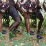 Quickie with my neighbours wife at the backyard